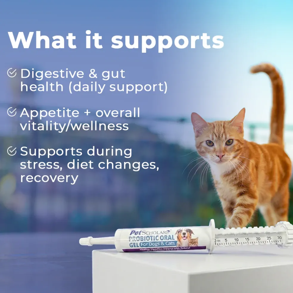 Pet Scholars Probiotic Oral Gel for Dogs & Cats