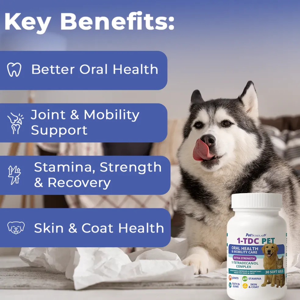 Pet Scholars 1-TDC Dental and Joint Health Softgel Supplement for Dogs and Cats