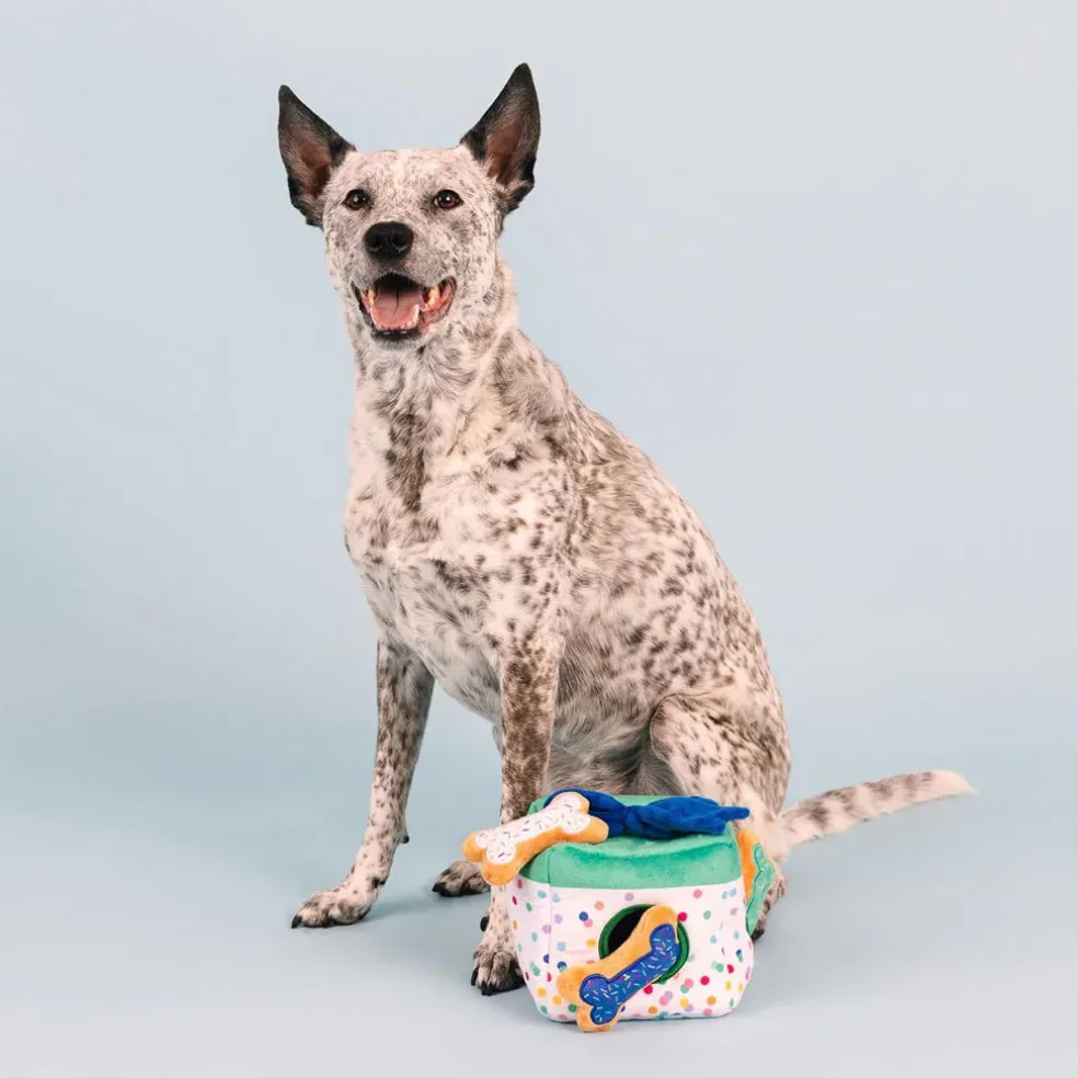 PetShop by Fringe Studio All About the Gifts Hide & Seek Plush Dog Toy