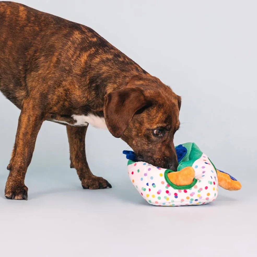 PetShop by Fringe Studio All About the Gifts Hide & Seek Plush Dog Toy