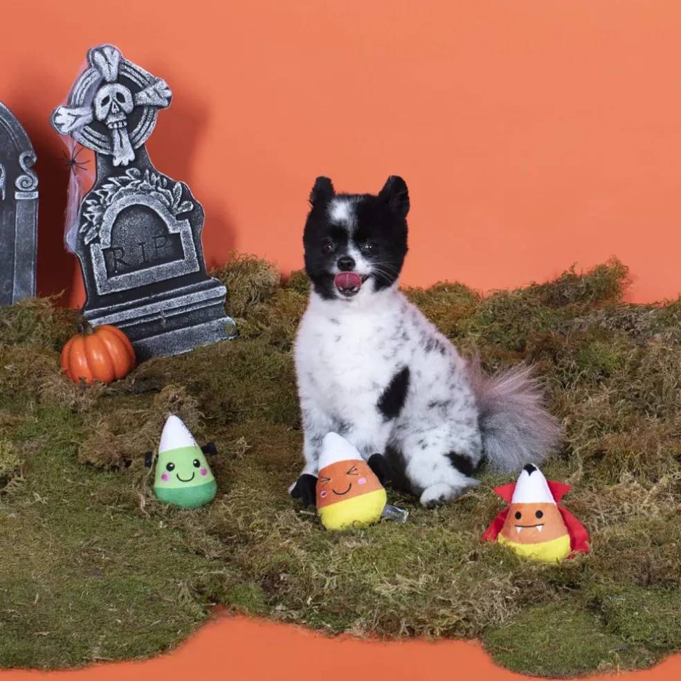 Petshop By Fringe Studio Candy Corns Small Toy For Dogs Set (3 pieces)