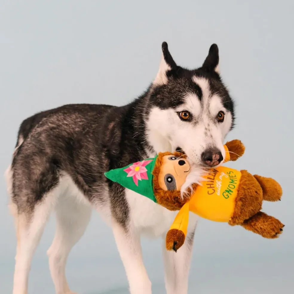 PetShop by Fringe Studio Chillin' With My Gnomies Sloth Plush Toy For Dogs