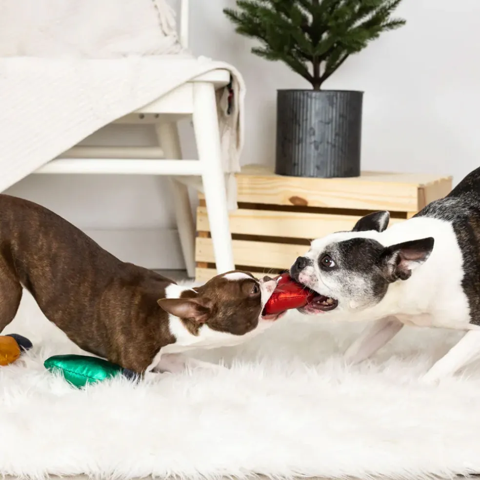 PetShop by Fringe Studio Light Up My Life Short Dog Toy Set, Small, 3-piece