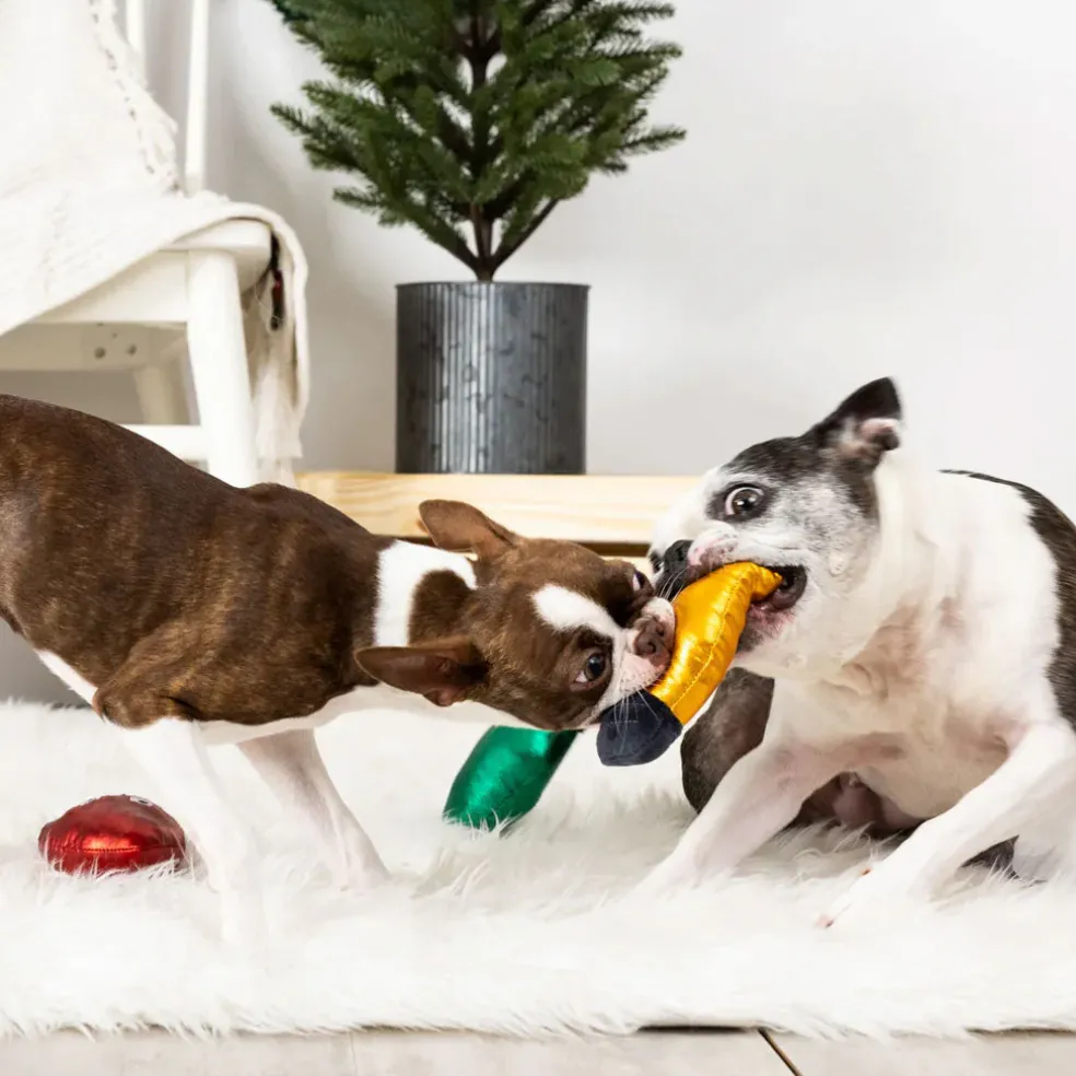 PetShop by Fringe Studio Light Up My Life Short Dog Toy Set, Small, 3-piece