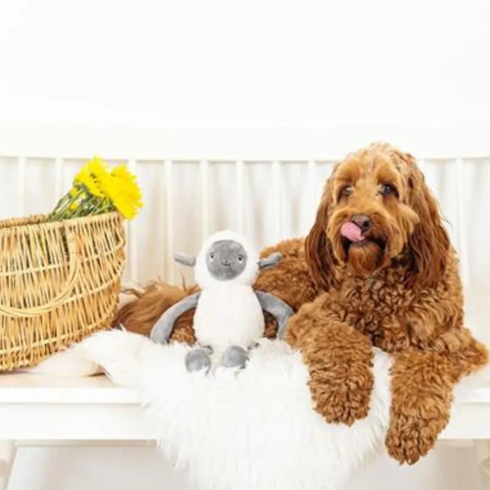 PetShop by Fringe Studio Little Lamby Plush Dog Toy