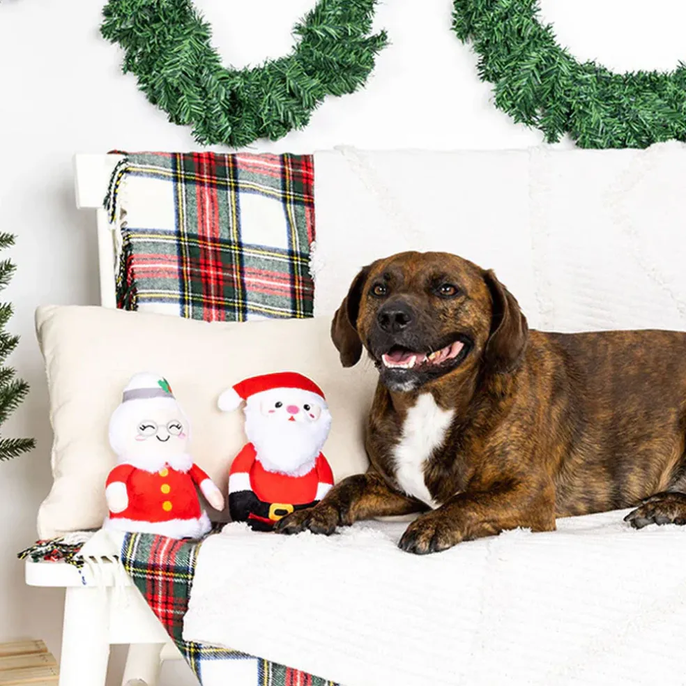 PetShop by Fringe Studio Mr. & Mrs. Santa Paws Plush Dog Toy Set, 2-piece