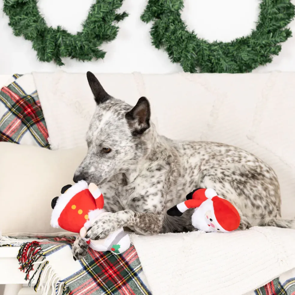 PetShop by Fringe Studio Mr. & Mrs. Santa Paws Plush Dog Toy Set, 2-piece