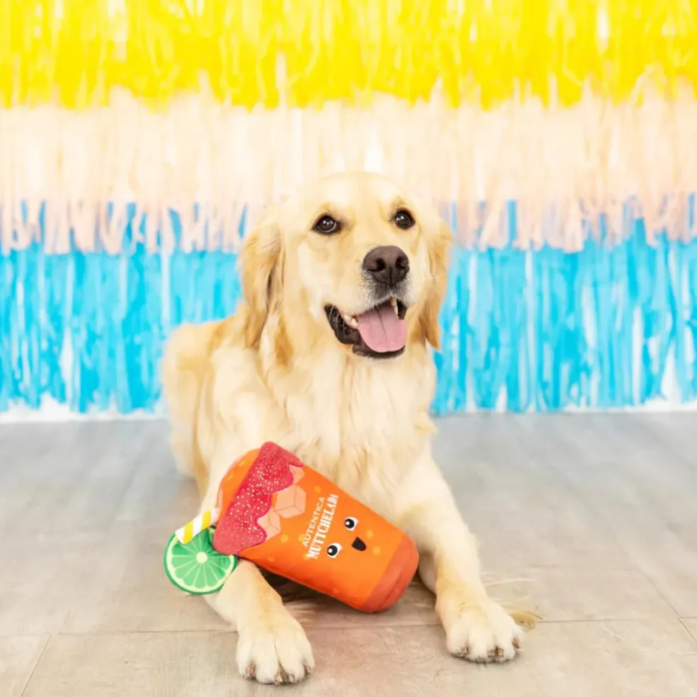 PetShop by Fringe Studio Muttchelada Plush Toy For Dogs
