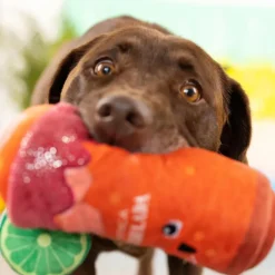 PetShop by Fringe Studio Muttchelada Plush Toy For Dogs