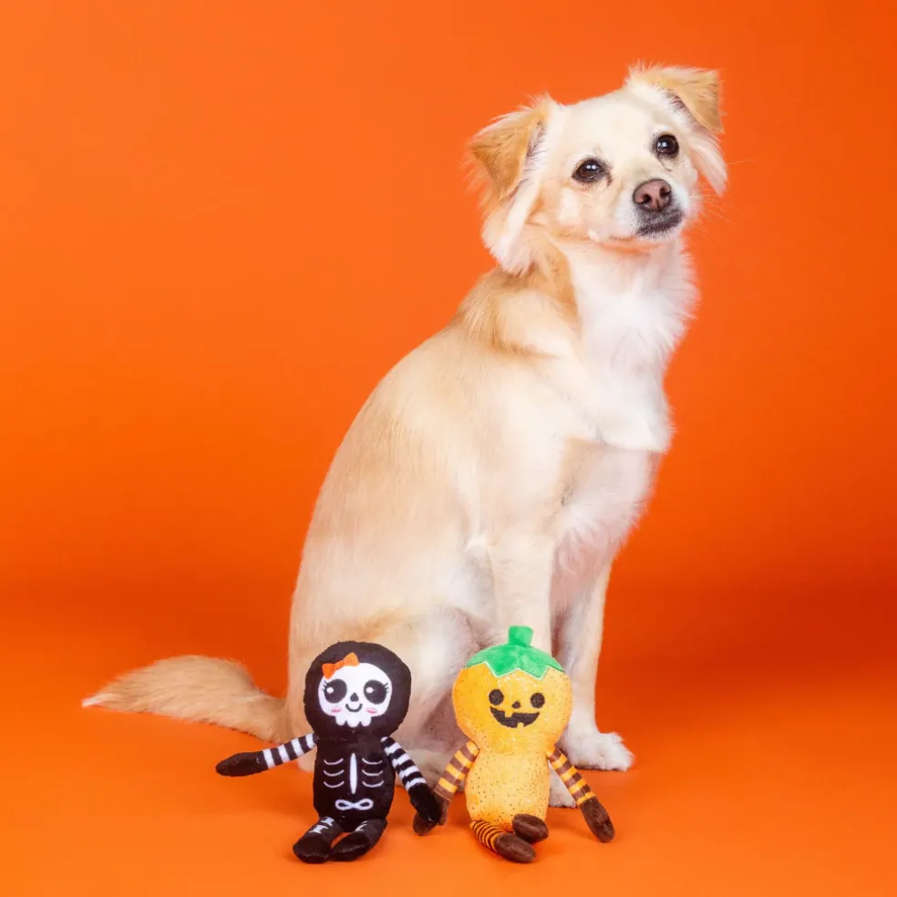 PetShop by Fringe Studio “Oh My Gourd!” 2-Piece Plush Dog Toy Set