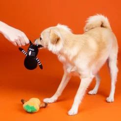 PetShop by Fringe Studio “Oh My Gourd!” 2-Piece Plush Dog Toy Set