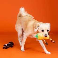 PetShop by Fringe Studio “Oh My Gourd!” 2-Piece Plush Dog Toy Set