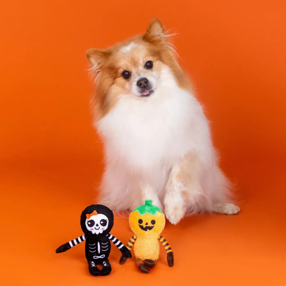 PetShop by Fringe Studio “Oh My Gourd!” 2-Piece Plush Dog Toy Set