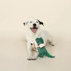 PetShop by Fringe Studio Pool Time Rex Dinosaur Plush Toy For Dogs