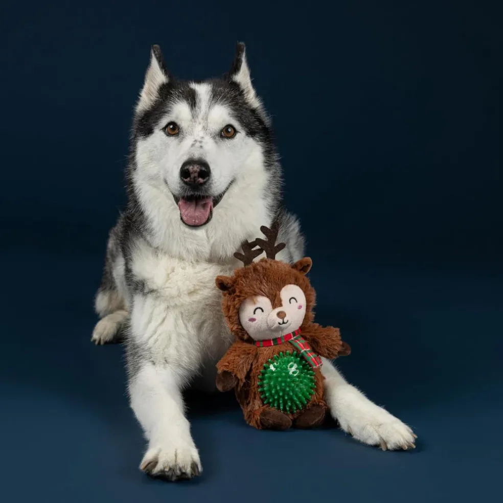 PetShop by Fringe Studio Rein It in, Pal! Plush & Squeaker Ball Toy For Dogs
