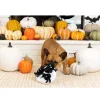 Petshop By Fringe Studio Skull w/ Spiders Hide & Seek Toy For Dogs