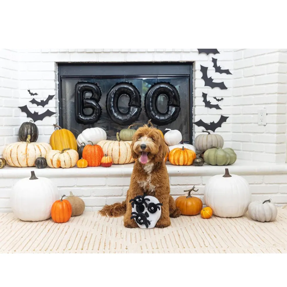 Petshop By Fringe Studio Skull w/ Spiders Hide & Seek Toy For Dogs