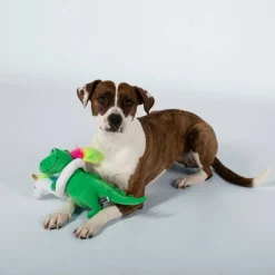 PetShop by Fringe Studio Summa Time Rex Dinosaur Plush Toy For Dogs