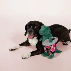 PetShop by Fringe Studio Surfer Bro Rex Dinosaur Plush Toy For Dogs
