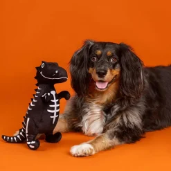 PetShop by Fringe Studio Trick Rawr Treat Plush Toy For Dogs