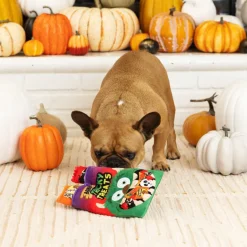 Petshop By Fringe Studio Tricky Treats Hide Seek Plush Toy For Dogs