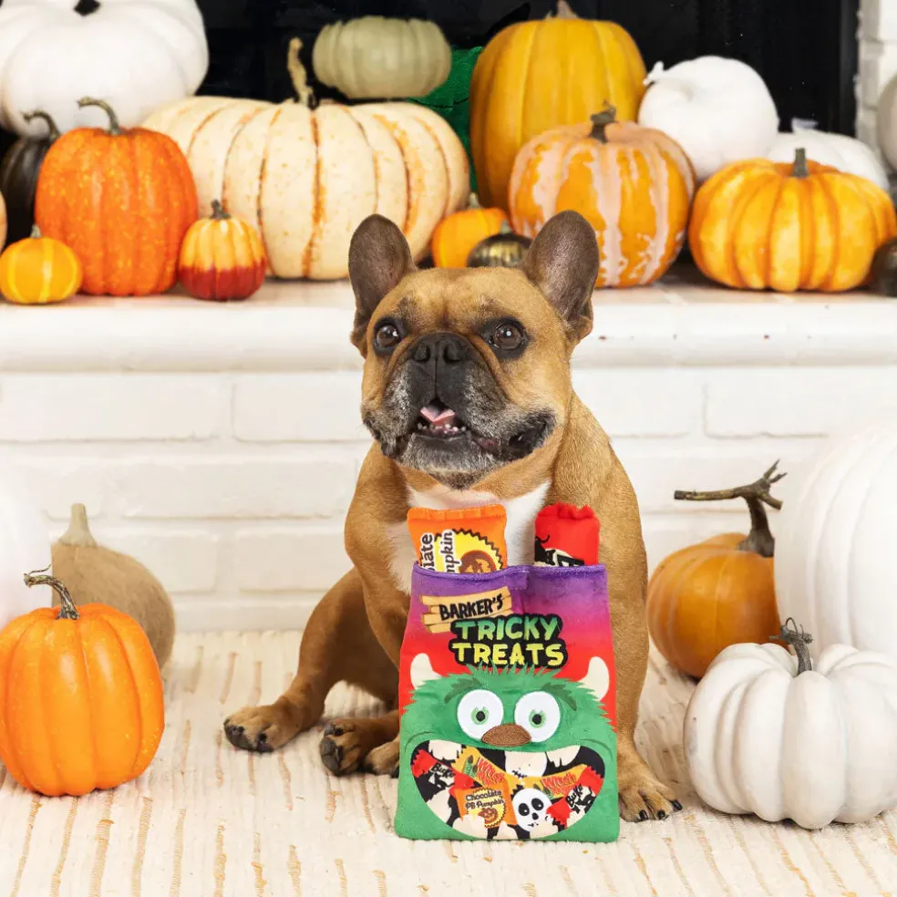 PetShop by Fringe Studio Tricky Treats Hide Seek Plush Dog Toy