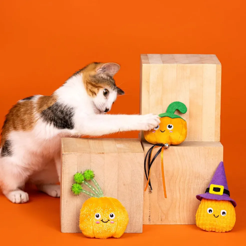 PetShop by Fringe Studio Witch of the Patch Cat Toy Set (3 pack)