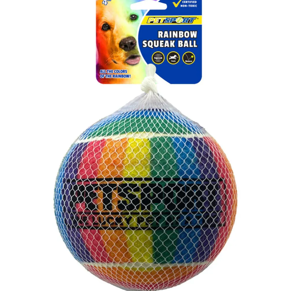Petsport USA Rainbow Squeak Ball Dog Toy