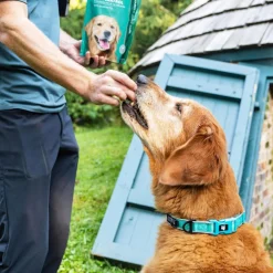 Petthrive Soft Chews with Resveratrol Advance Joint Care for Dogs