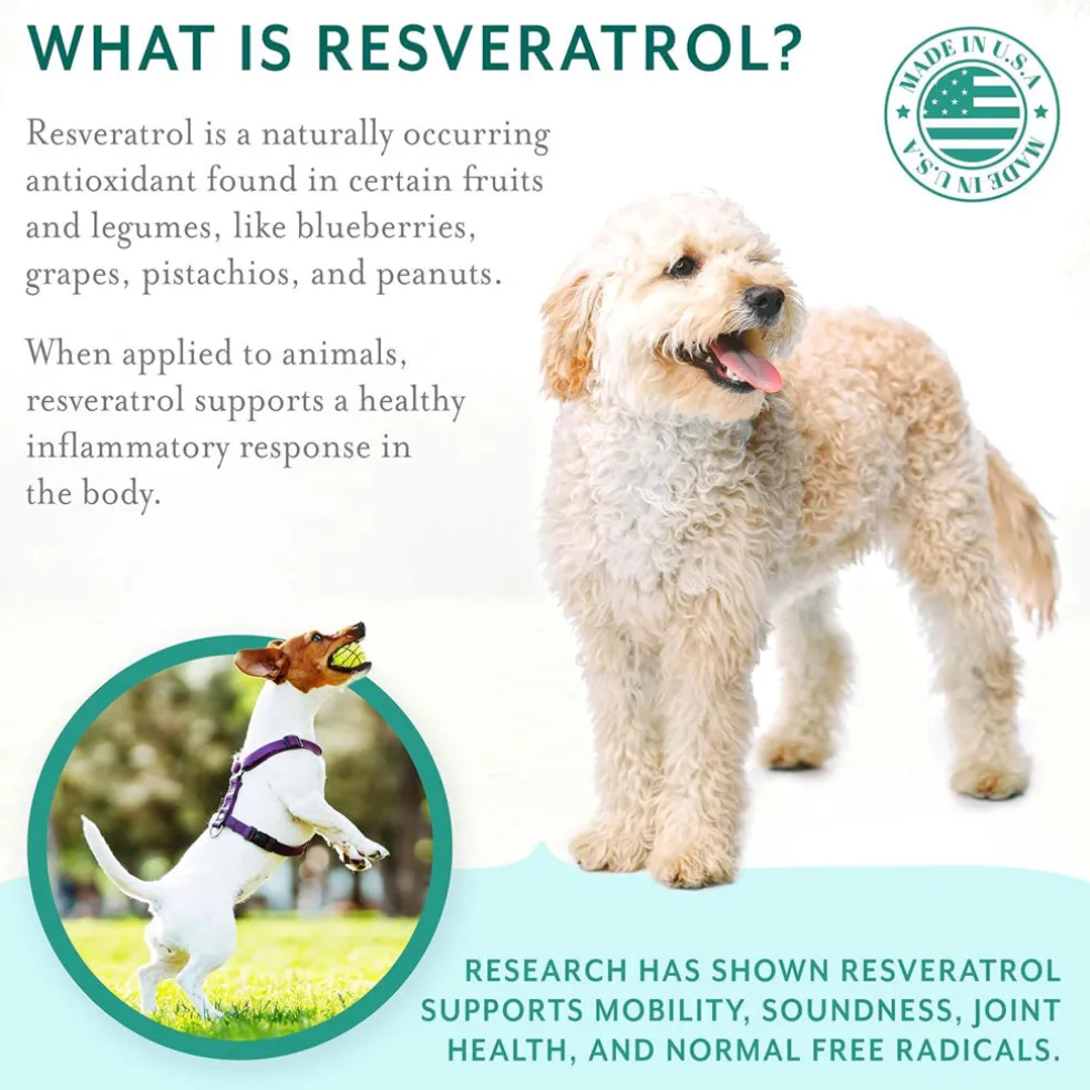 Petthrive Soft Chews with Resveratrol Advance Joint Care for Dogs