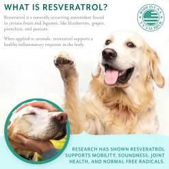 Petthrive Soft Chews with Resveratrol Advance Joint Care for Dogs