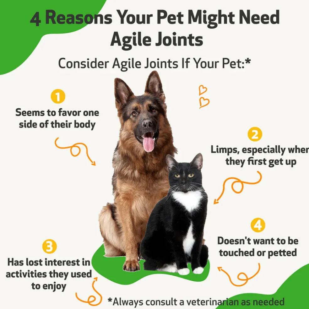 Pet Wellbeing- Agile Joints for Dog Joint Mobility