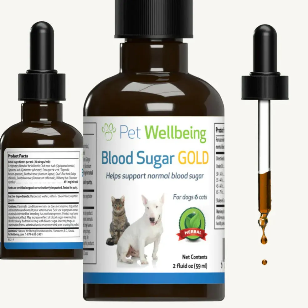 Pet Wellbeing Blood Sugar Gold for Cat Blood Sugar Support