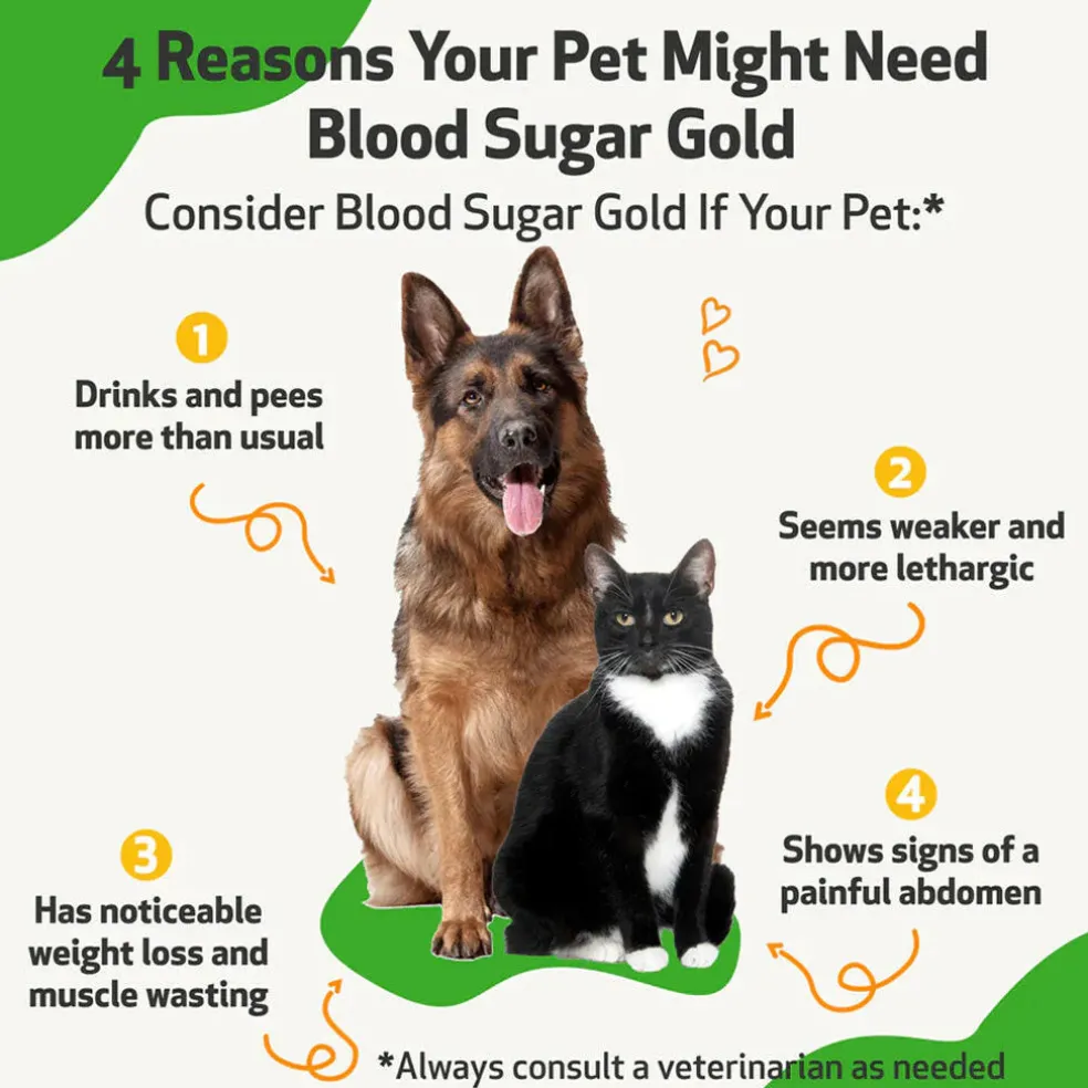 Pet Wellbeing Blood Sugar Gold for Cat Blood Sugar Support