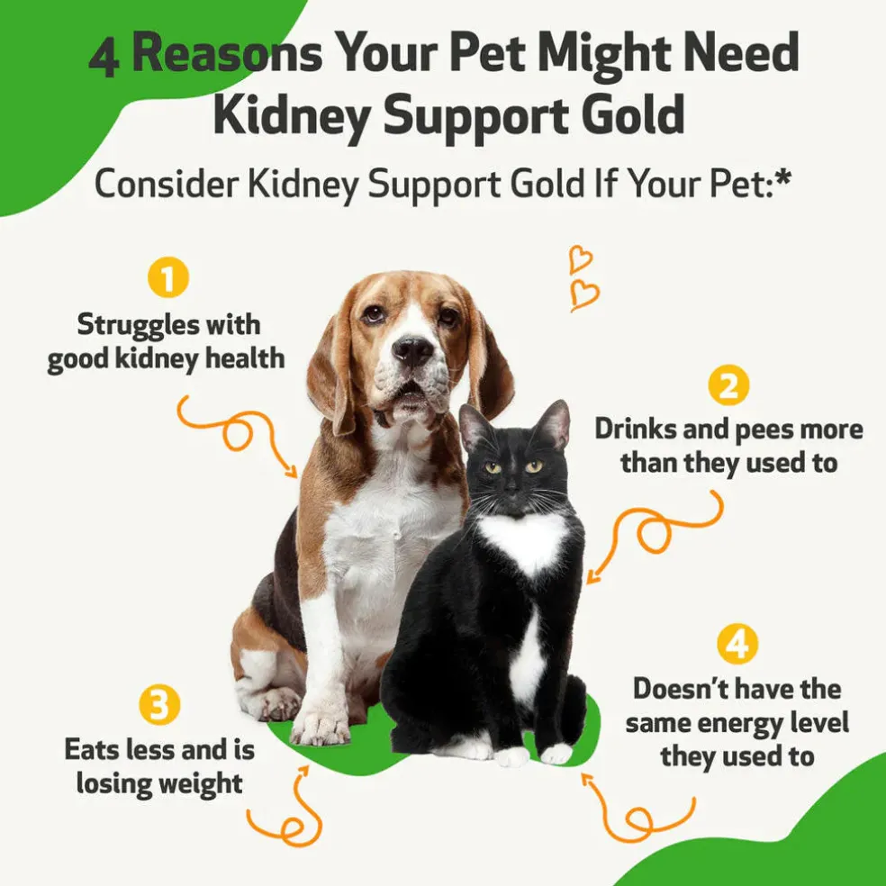 Pet Wellbeing Kidney Support Gold for Dogs & Cats