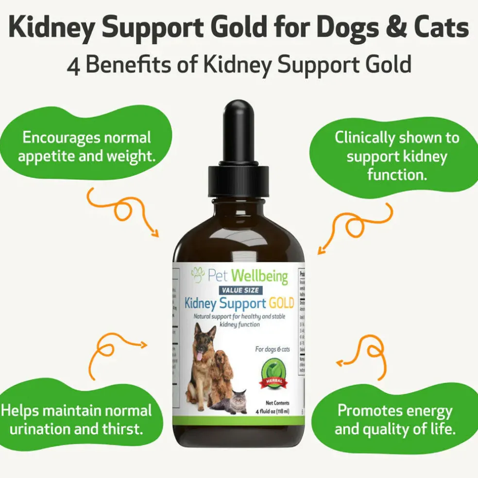 Pet Wellbeing Kidney Support Gold for Dogs & Cats