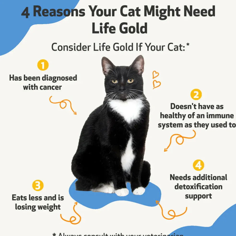 Pet Wellbeing Life Gold for Cats