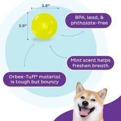 Planet Dog Orbee-Tuff Lil' Snoop Interactive Treat Dispensing Toy, Small