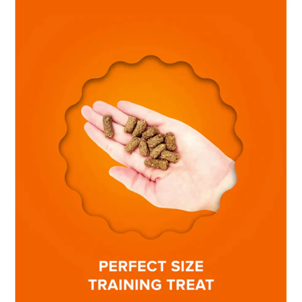 Plato Small Bites Grain-Free Chicken Treats for Dogs