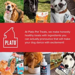 Plato Small Bites Grain-Free Duck Dogs Treats, 2-oz