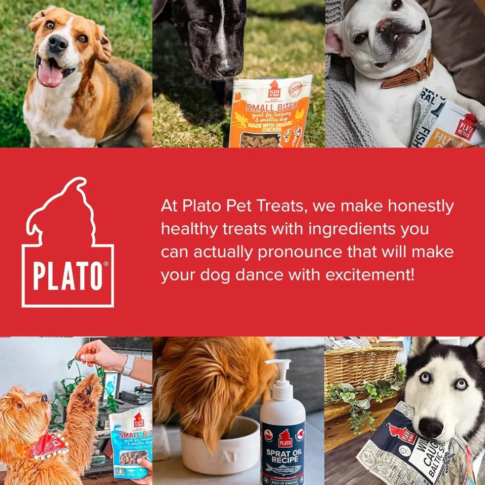 Plato Small Bites Grain-Free Duck Dogs Treats, 2-oz