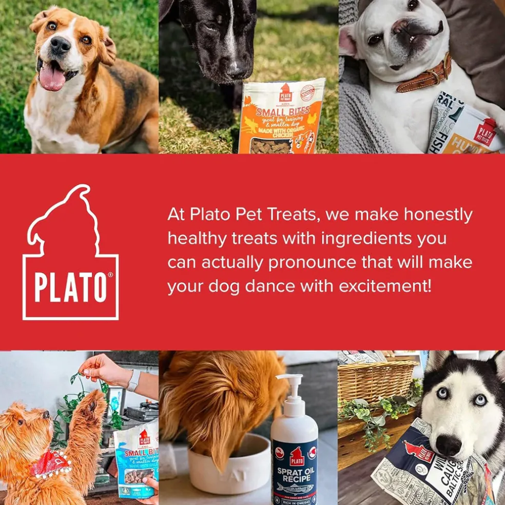 Plato Thinkes Real Salmon Recipe Sticks Dog Treats, 18-oz