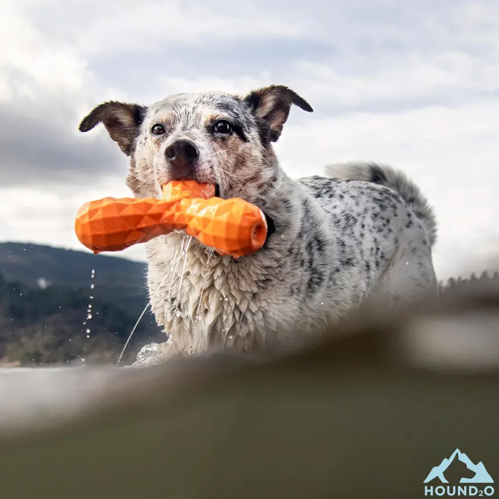 Playology Hound2O Squeaky Boomerang Orange Dog Toy