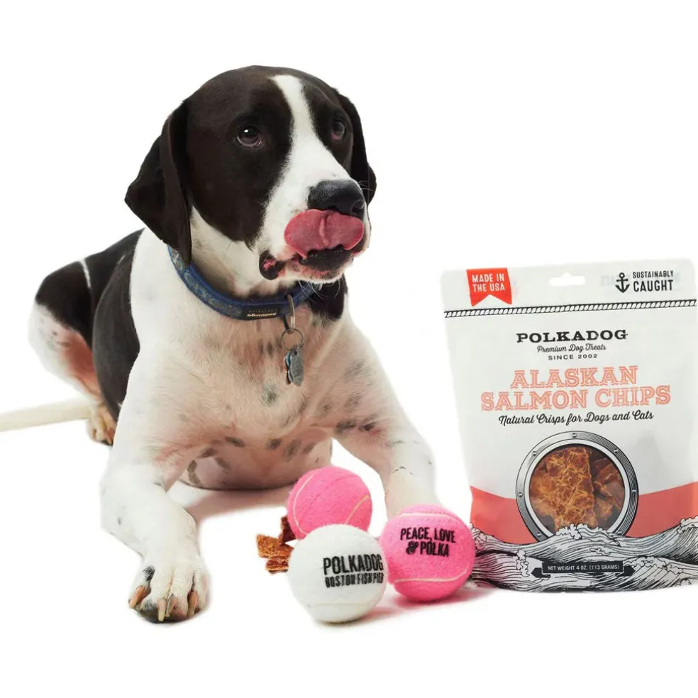Polkadog Alaskan Salmon Chips for Dogs & Cats, 3.5-oz