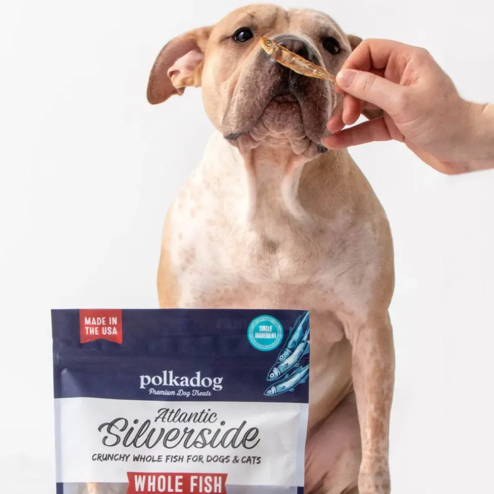 Polkadog Atlantic Silverside Crunchy Whole Fish for Dogs & Cats, 2.5-oz