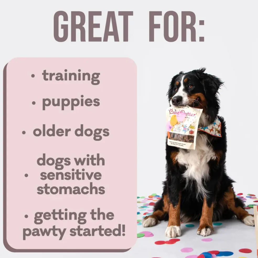 Polkadog Cake Batter Soft & Chewy Bits Peanut Butter & Banana Recipe for Dogs