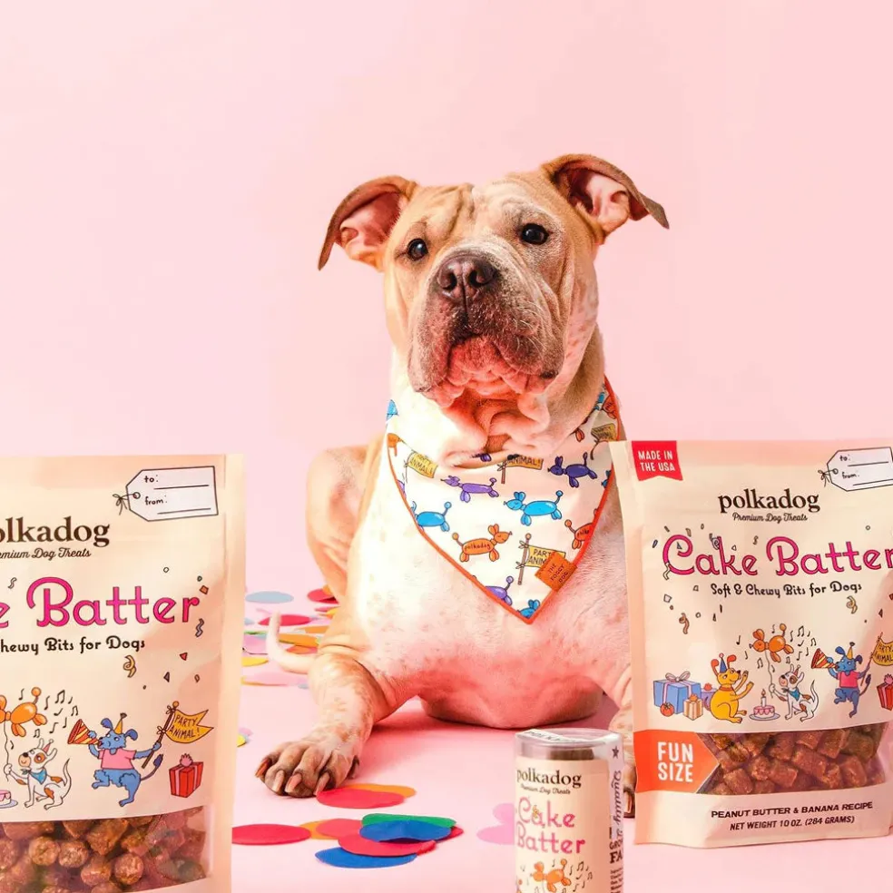 Polkadog Cake Batter Soft & Chewy Bits Peanut Butter & Banana Recipe for Dogs