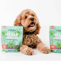 Polkadog Green Monstah Crunchy Treats Bone Shaped for Dogs & Cats
