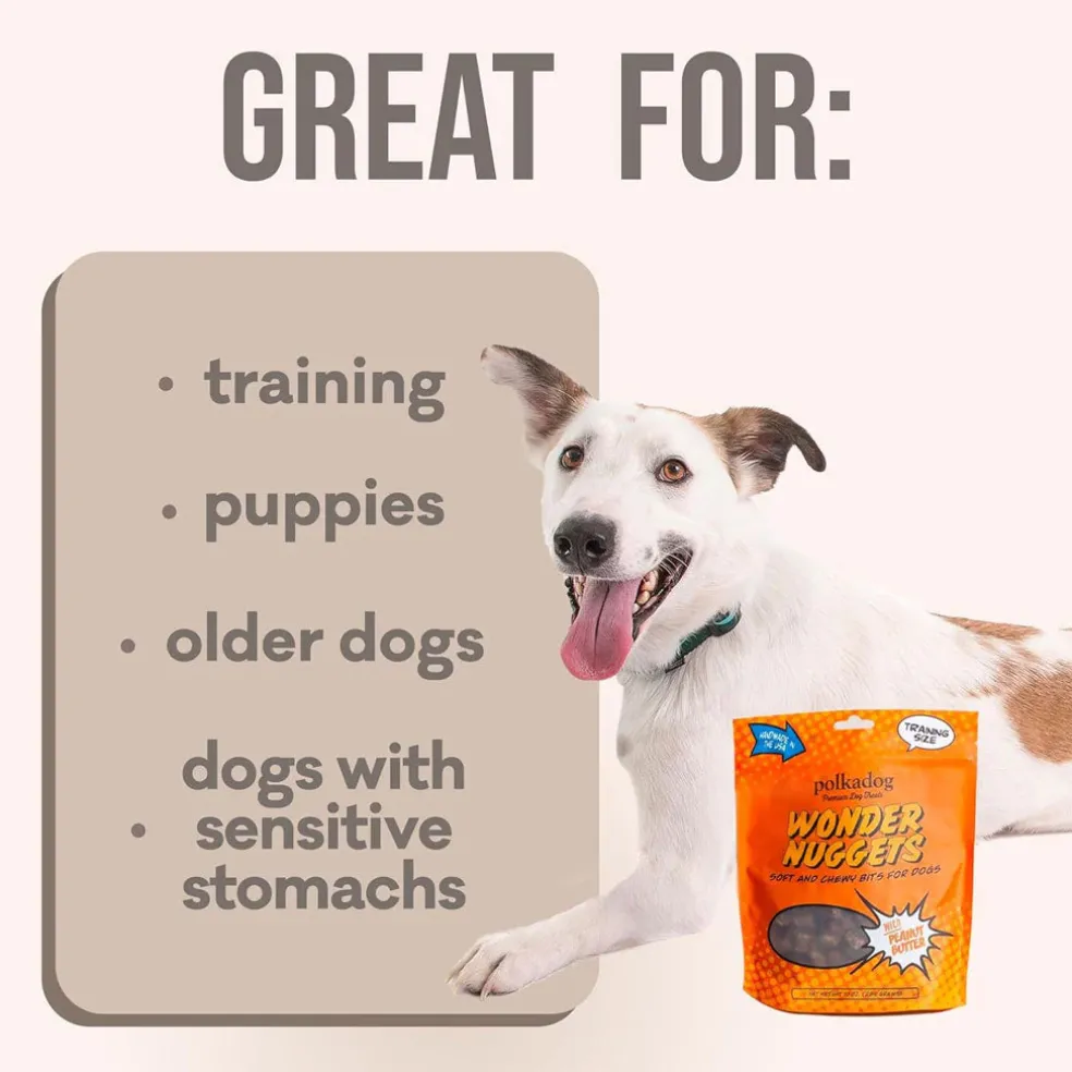 Polkadog Wonder Nuggets Soft & Chewy Bits Peanut Butter Flavor Training Treats for Dogs