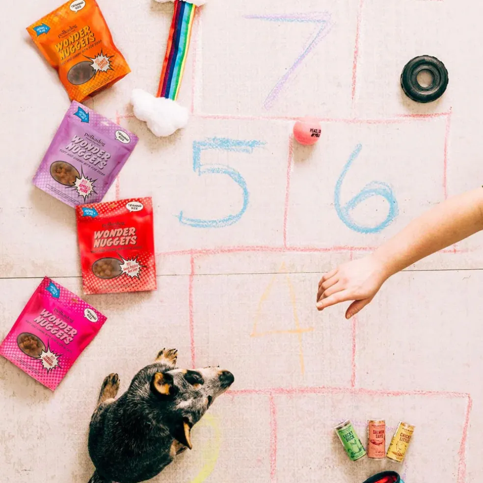 Polkadog Wonder Nuggets Soft & Chewy Bits Turkey & Cranberry Flavor Training Treats for Dogs